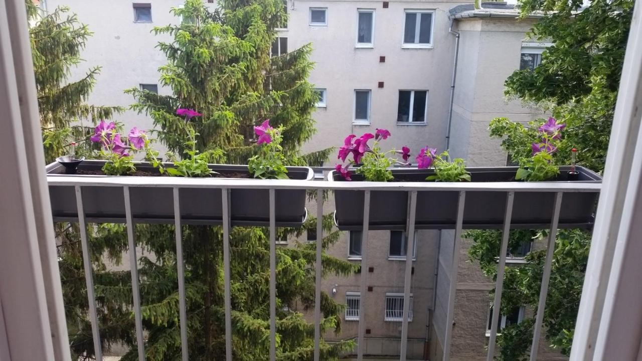 Tisza-Parti Napfeny Apartman Segedyn Zewnętrze zdjęcie